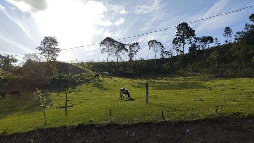 Natuurlandschap vlak bij de camping