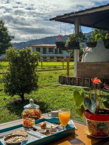 Jídlo v hotelu nebo okolí