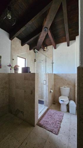 a bathroom with a toilet and a glass shower at Loft 49 Valquirico in Santeagueda