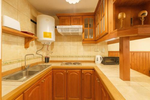a kitchen with wooden cabinets and a sink at Refugio del volcán in Pucón