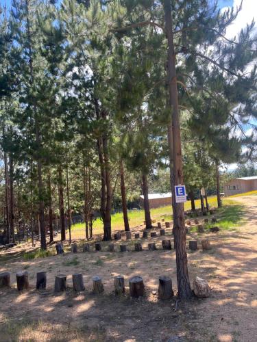 Fotografie z fotogalerie ubytování Alojamiento y Desayuno Privado de Lujo C1B v destinaci Bucalemu