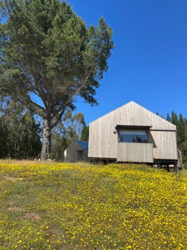 Fotografie z fotogalerie ubytování Alojamiento y Desayuno Privado de Lujo C1B v destinaci Bucalemu
