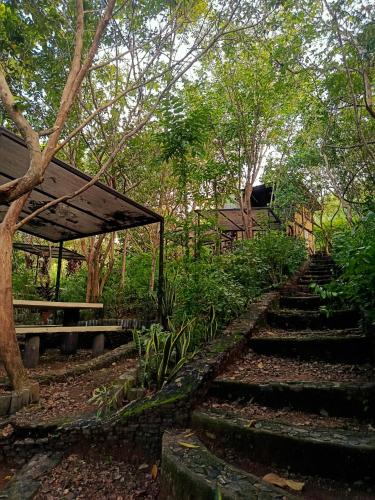 a set of stairs in a garden with a bench at Busuanga Backpackers in Busuanga