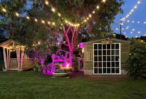 Κήπος έξω από το Cabaña PANDORA en los Ceibos