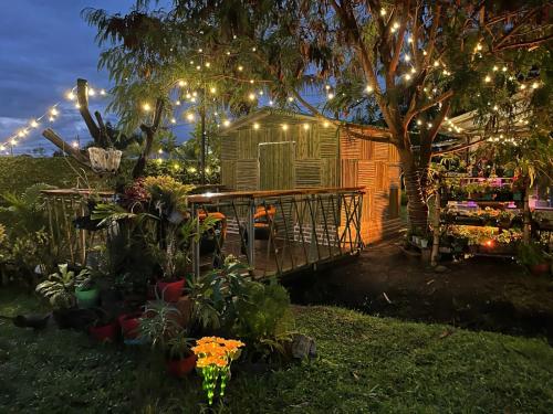 Κήπος έξω από το Cabaña PANDORA en los Ceibos