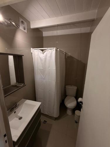ein Badezimmer mit Toilette, Dusche und Waschbecken in der Unterkunft Cocheras Ezeiza Victoria in Ezeiza
