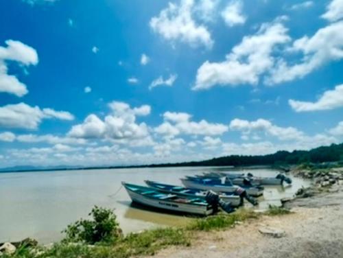 Příroda nedaleko apartmánu