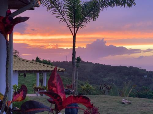 Příroda nedaleko bed and breakfast