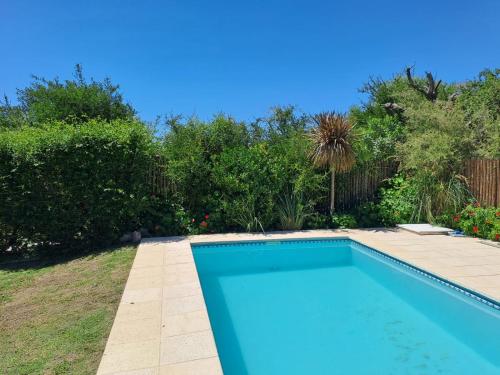 ein blauer Pool in einem Garten mit Bäumen in der Unterkunft Septimo Sol in Capilla del Monte