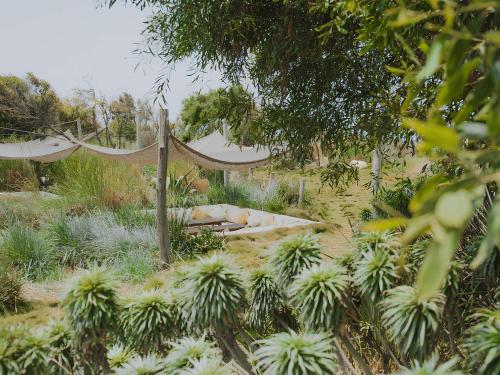 a hammock in the middle of a garden with plants at Sofitel Agadir Thalassa Sea & Spa in Agadir
