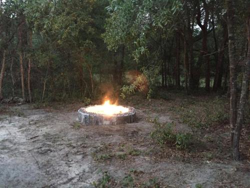 Φωτογραφία από το άλμπουμ του Private 4 acre Country Retreat by Rainbow Springs σε Οκάλα