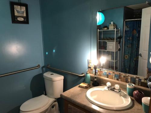 a bathroom with a toilet and a sink at Rainbow Springs Private 4 acre Country Retreat in Ocala