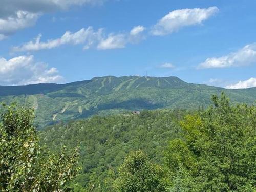 Loodusmaastik palkmajakese lähedal