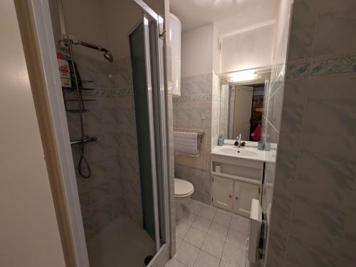 a bathroom with a shower and a toilet and a sink at Confort pour 4, proche pistes, garage, balcon sud - FR-1-445-231 in Montgenèvre