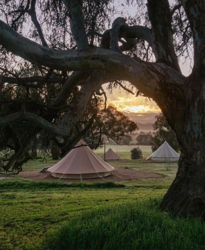 Mansfield Glamping - Adults-Only Luxury Bell Tents with Mt Buller Views