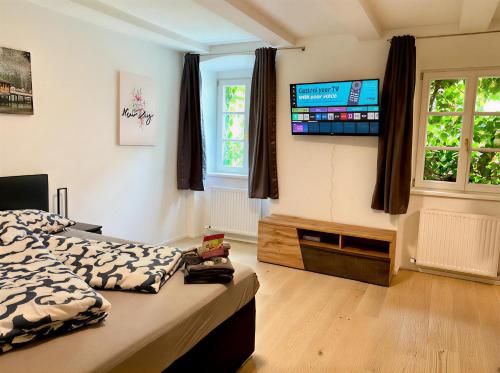 a bedroom with a bed and a flat screen tv at Modern Old Town Studio in Hall in Tirol
