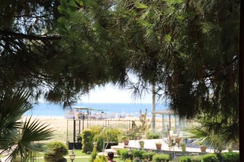 Φυσικό τοπίο κοντά σε αυτό το ξενοδοχείο