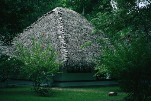 a building with a grass roof with a tree at Marari Beach Resort Alleppey - A CGH Earth Experience in Alleppey