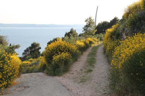 a dirt road with yellow flowers next to the water at Adria Apartments in Podgora