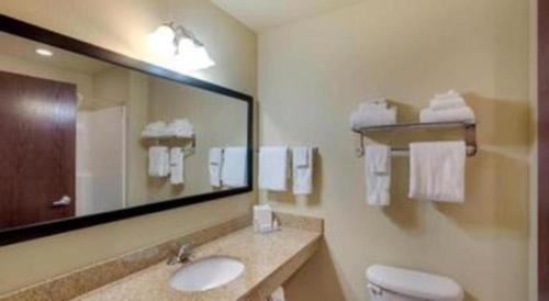 a bathroom with a sink and a large mirror at AmericInn by Wyndham Oshkosh in Oshkosh