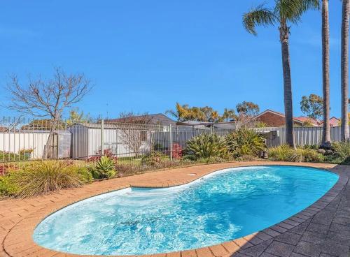 une piscine dans une cour avec des palmiers dans l'établissement Echucas Pawfect Accommodation - Dog Friendly, à Echuca