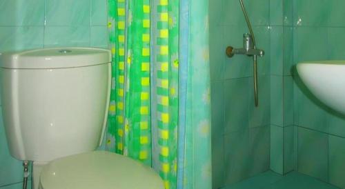 une salle de bain avec toilettes, douche et lavabo dans l'établissement Golden Sam Resort and Restaurant, à Bohol-Panglao International Airport