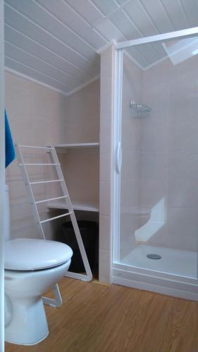 a bathroom with a toilet and a shower with a ladder at Monte Girassol - The Lisbon Country House in Quinta das Faias