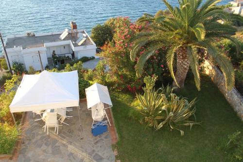 an aerial view of a house with a tent and a palm tree at Villa Irini in Almirida