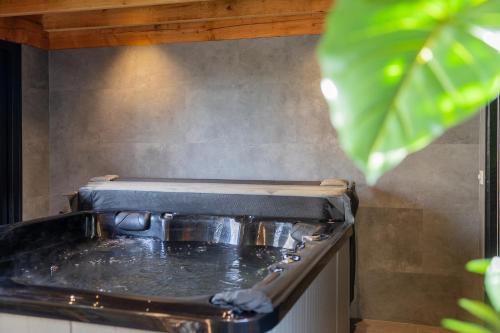 a stove top oven filled with water in a kitchen at De Friese Wouden in Suameer