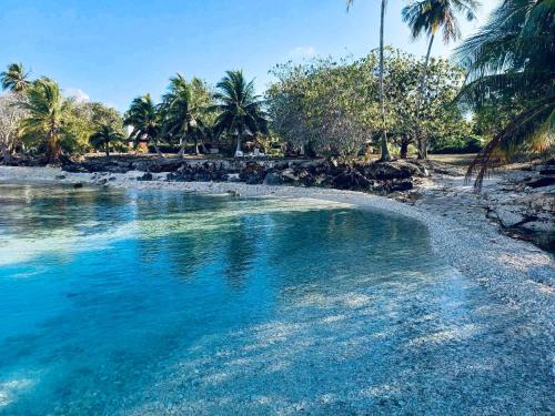 uma piscina de água azul numa praia com palmeiras em Monita Villa Rangiroa em Tiputa