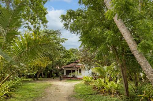 Κήπος έξω από το Siri Medura Surf and Yoga