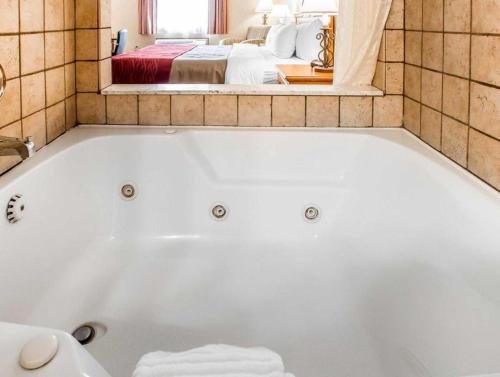 Koupelna v ubytování Quality Inn