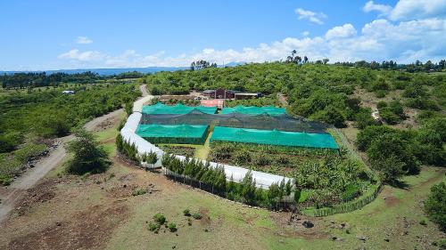 Πισίνα στο ή κοντά στο Tafaria Castle & Center For The Arts