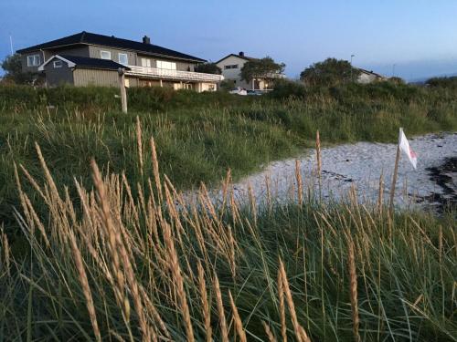 a house sitting on top of a beach with tall grass at Apartment Utsikten in Andenes