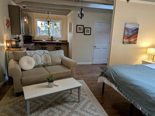a living room with a couch and a table at Secluded Mountain Cabin Retreat with Scenic Woodland Views near Black Mountain, NC in Montreat