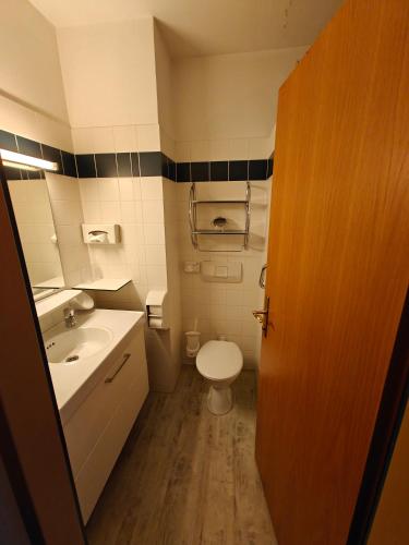 a bathroom with a white toilet and a sink at Stadthotel Raabs an der Thaya in Raabs an der Thaya