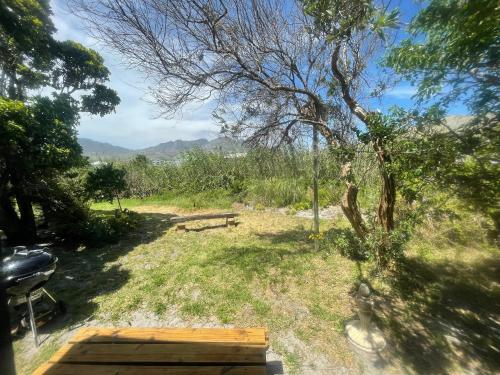 einen Hinterhof mit einem Picknicktisch und einem Baum in der Unterkunft Waterberry Hideaway in Pringle Bay