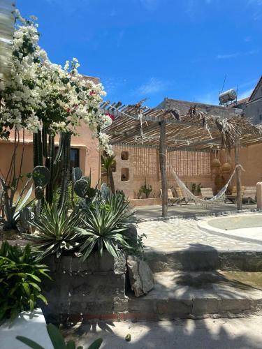 ein Garten mit Kakteen und Pflanzen vor einem Gebäude in der Unterkunft The Chan Chan Home Seaside Phan Thiet in Phan Thiet