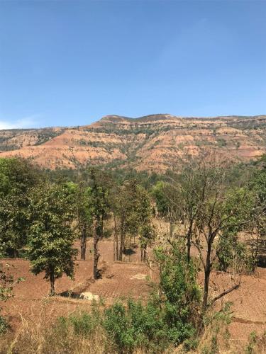 un champ avec des arbres et une montagne en arrière-plan dans l'établissement George Villa home Stay, à Jāmb
