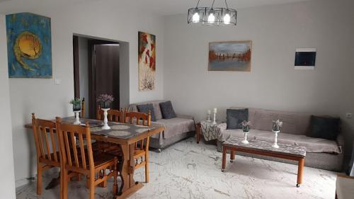 Χώρος καθιστικού στο XANTHI COUNTRY LAND apartment