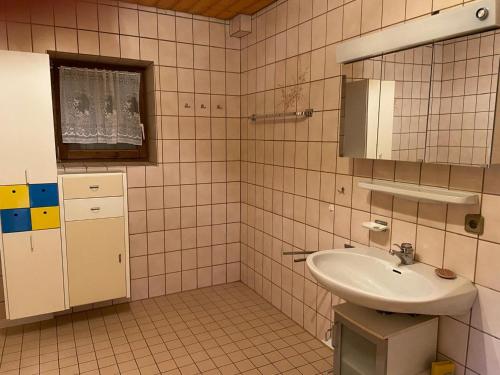 un baño con lavabo y espejo en Appartements Schnaittach, en Schnaittach