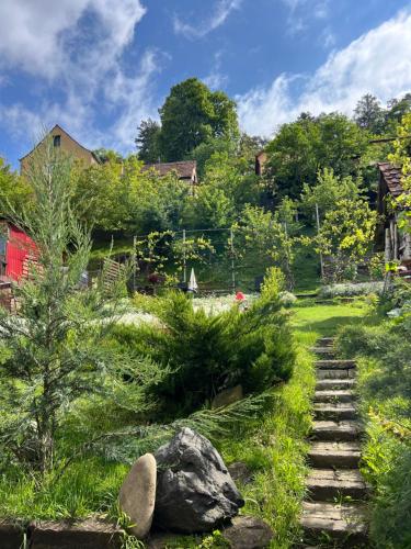 a garden with a stone path and grass at Casa Santa in Sighişoara