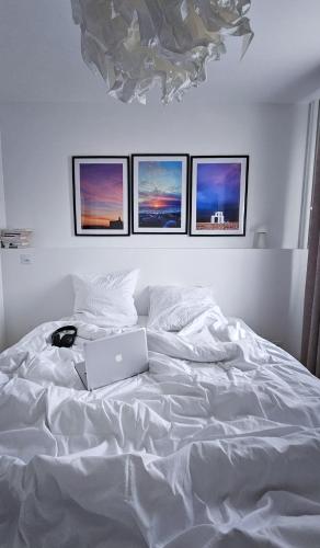 Cosy blue - Hyper Centre - Home cinéma