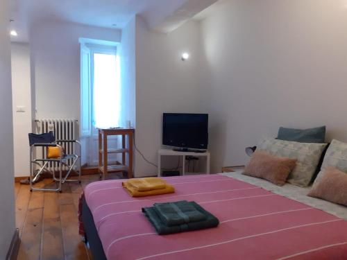 a living room with a large bed and a tv at Casa Iolanda in Siena