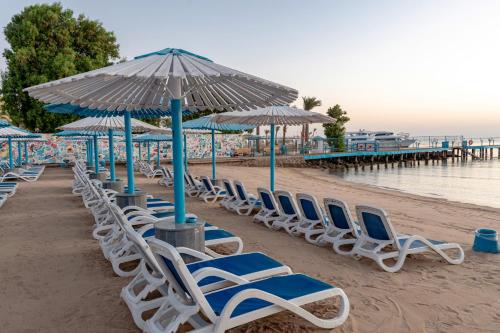 MinaMark Beach Resort for Families and Couples Only