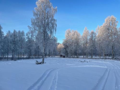 Sinetän Lomakoti v zimě