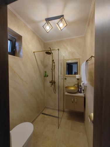 a bathroom with a shower and a toilet and a sink at Râului 43 in Ocna-Mureşului