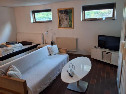 a living room with a couch and a table and a tv at Lille bolig med egen indgang in Holte