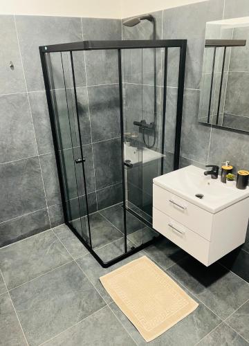 a bathroom with a shower and a sink at Apartmány Příkosice in Příkosice