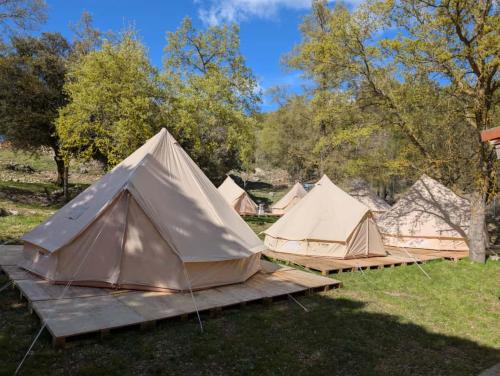 Fotografie z fotogalerie ubytování Glamping La Bellota 